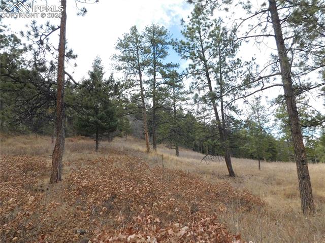 Photo 9 of 8055 Acoma Drive, Larkspur