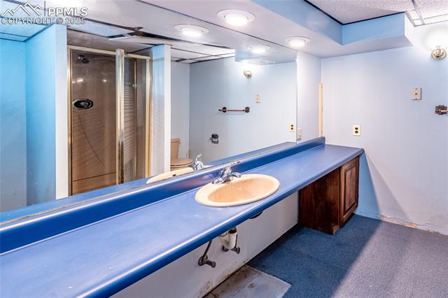 Bathroom with vanity, dark carpet, and a stall shower