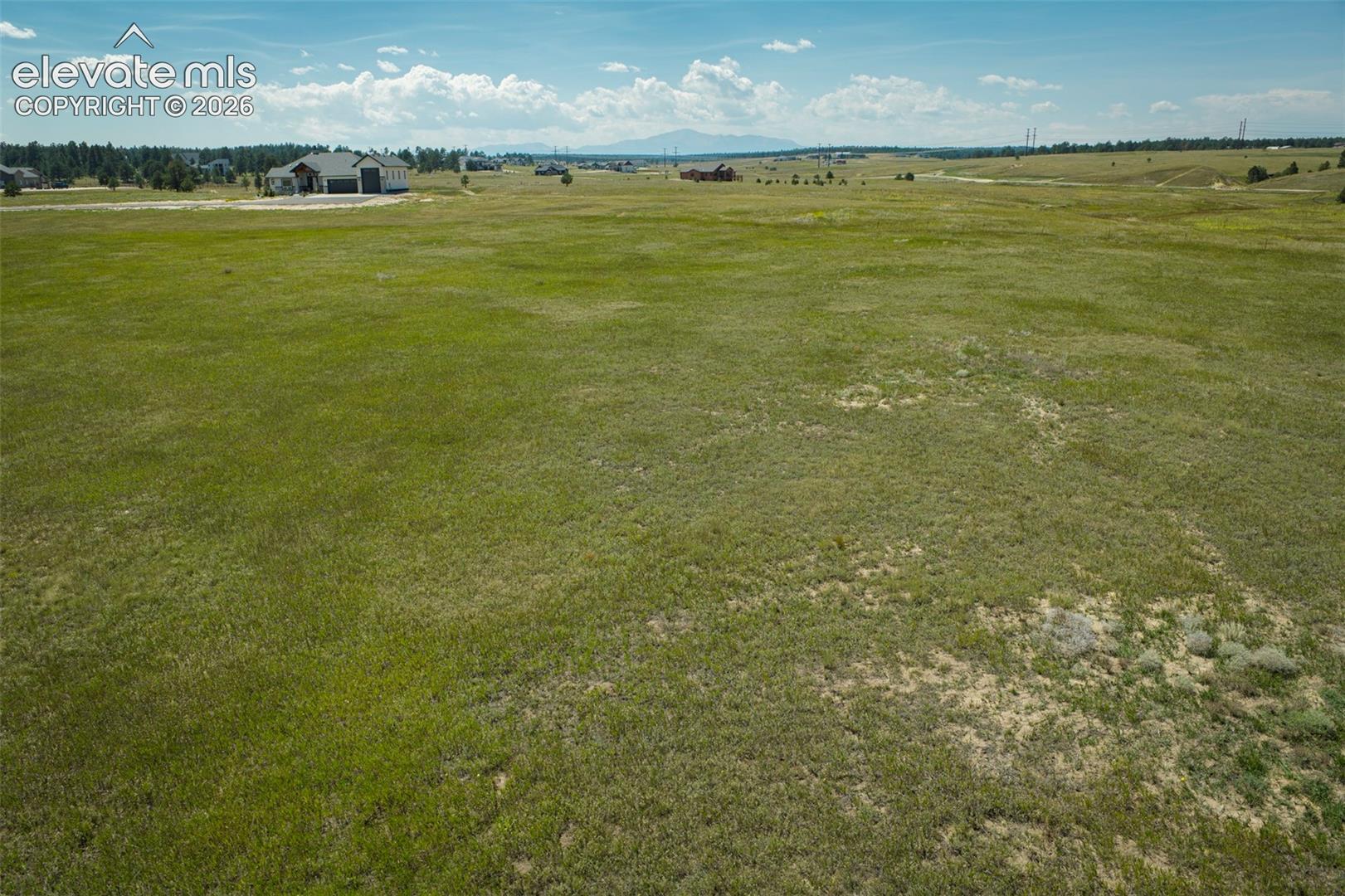 Expansive open grassland with a distant mountain range and a clear sky backdrop