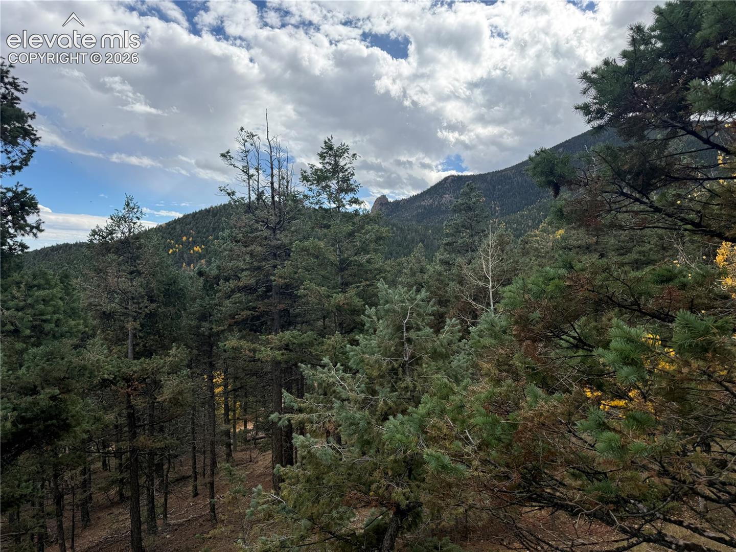 View of sentinel rock and the mountains from build site
