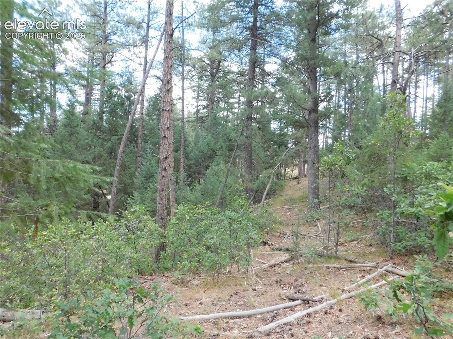Photo 35 of 8139 Bannock Drive, Larkspur
