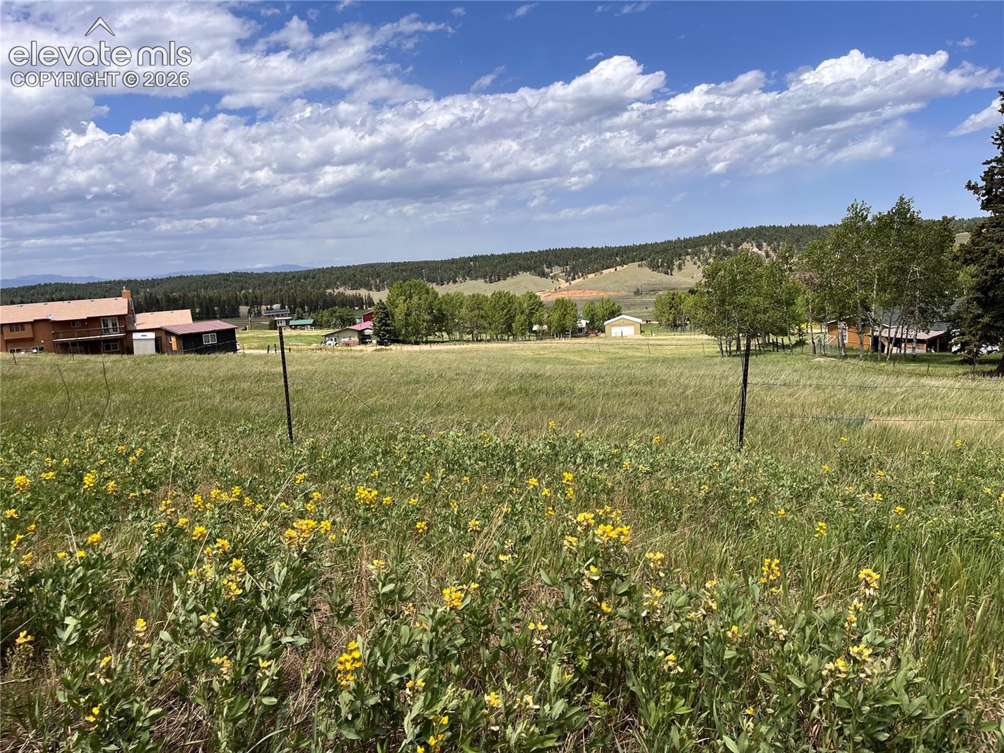 Photo 6 of 216 Will Scarlet Drive, Divide