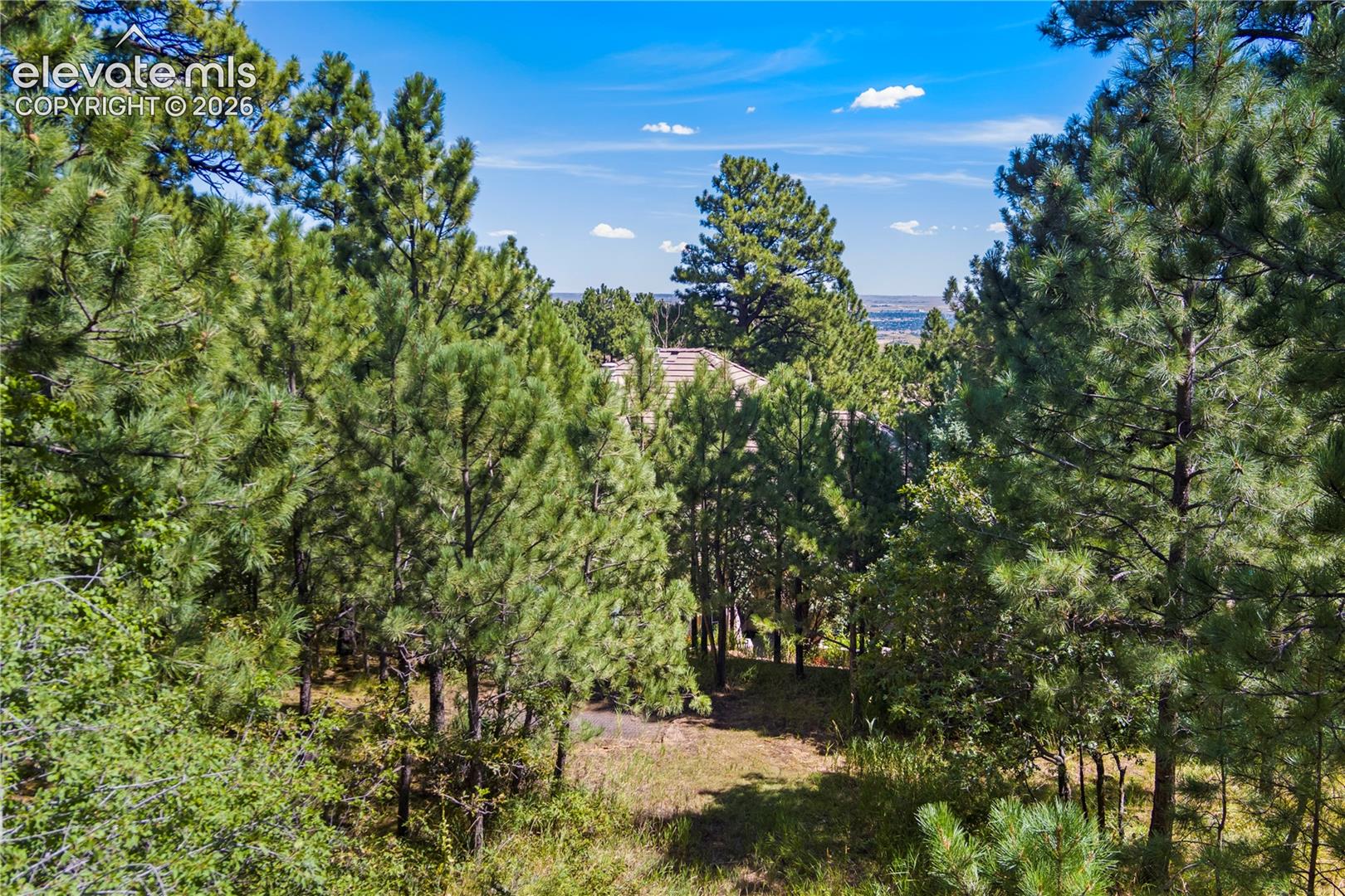 Photo 11 of 5625 Jarman Street, Colorado Springs