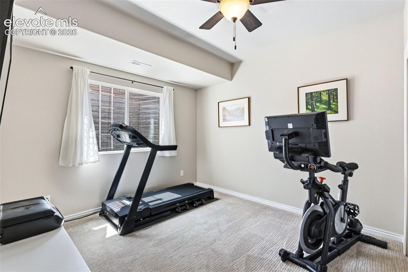 One of two basement bedrooms to be used as you desire - bedroom/office/exercise room/you name it