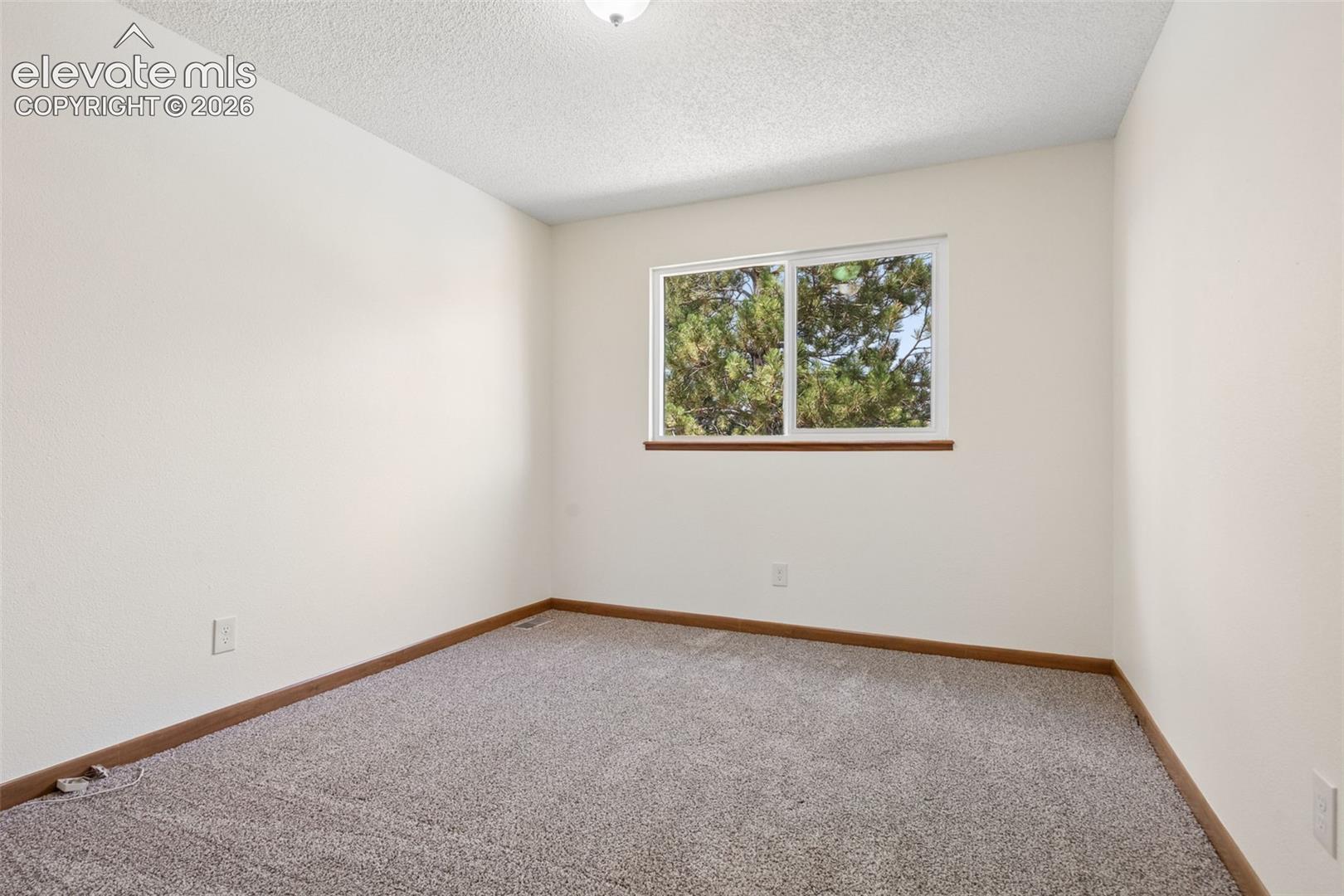 New carpet and paint