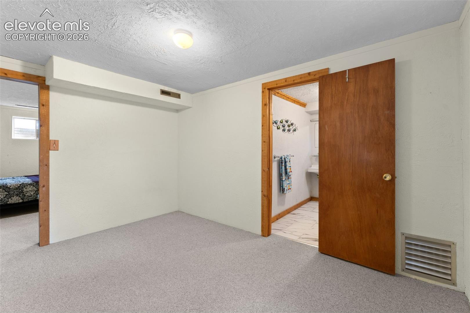 Light-colored carpeted flooring, white painted walls, and wood-trim doorways