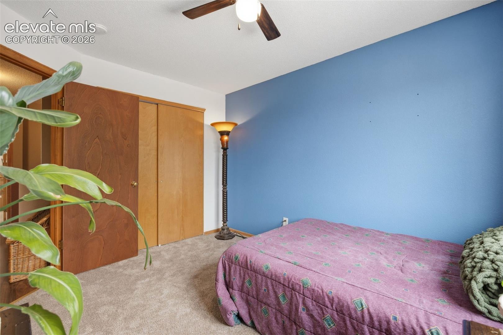 Carpeted room featuring a ceiling fan with integrated lighting, wood-finish bi-fold closet doors, and a blue accent wall