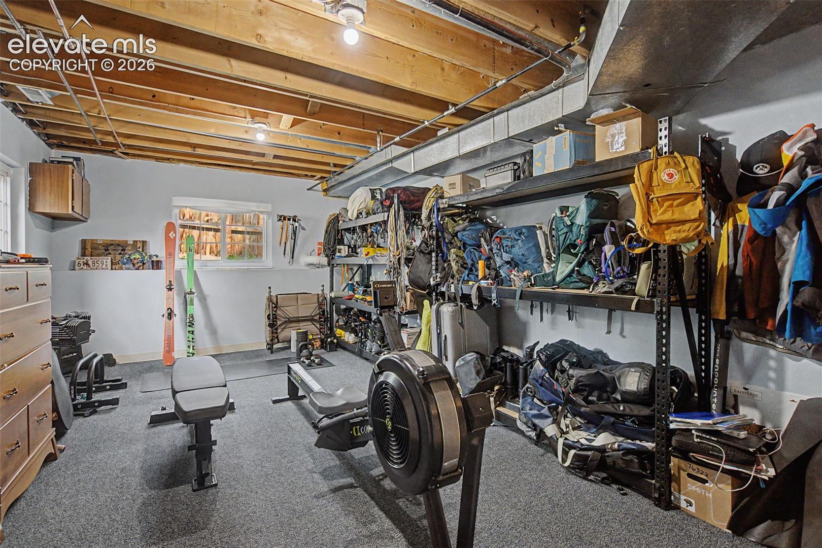 Basement Bonus Room (Storage or Home Gym)