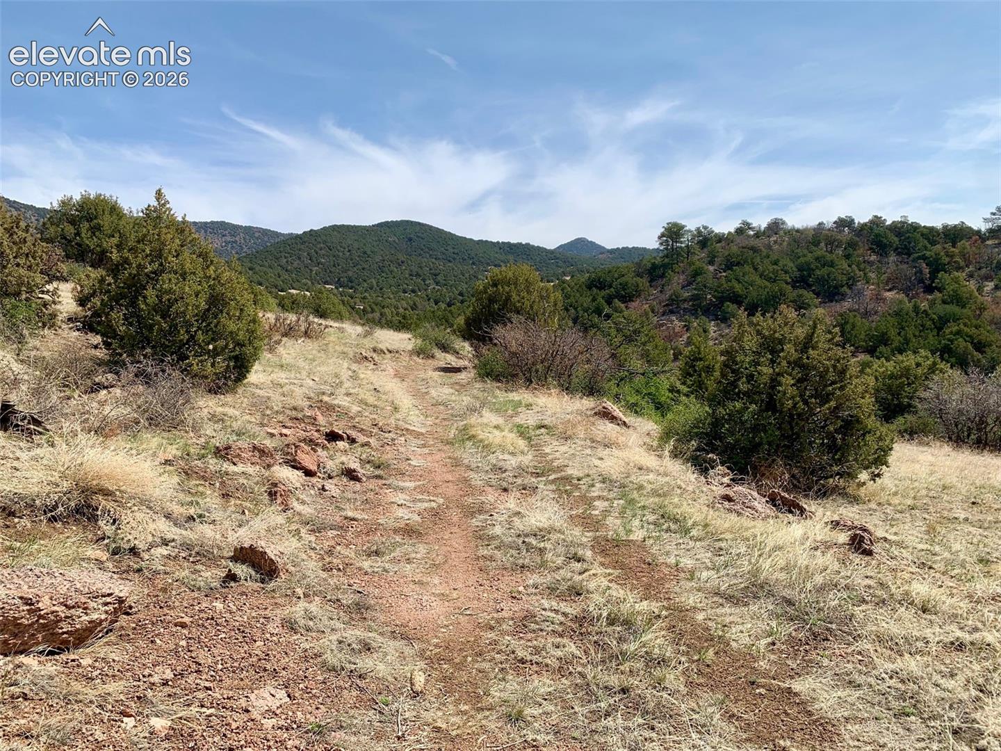 Expansive parcel featuring native grasses, scattered evergreen trees, rugged terrain, and mountainous backdrop