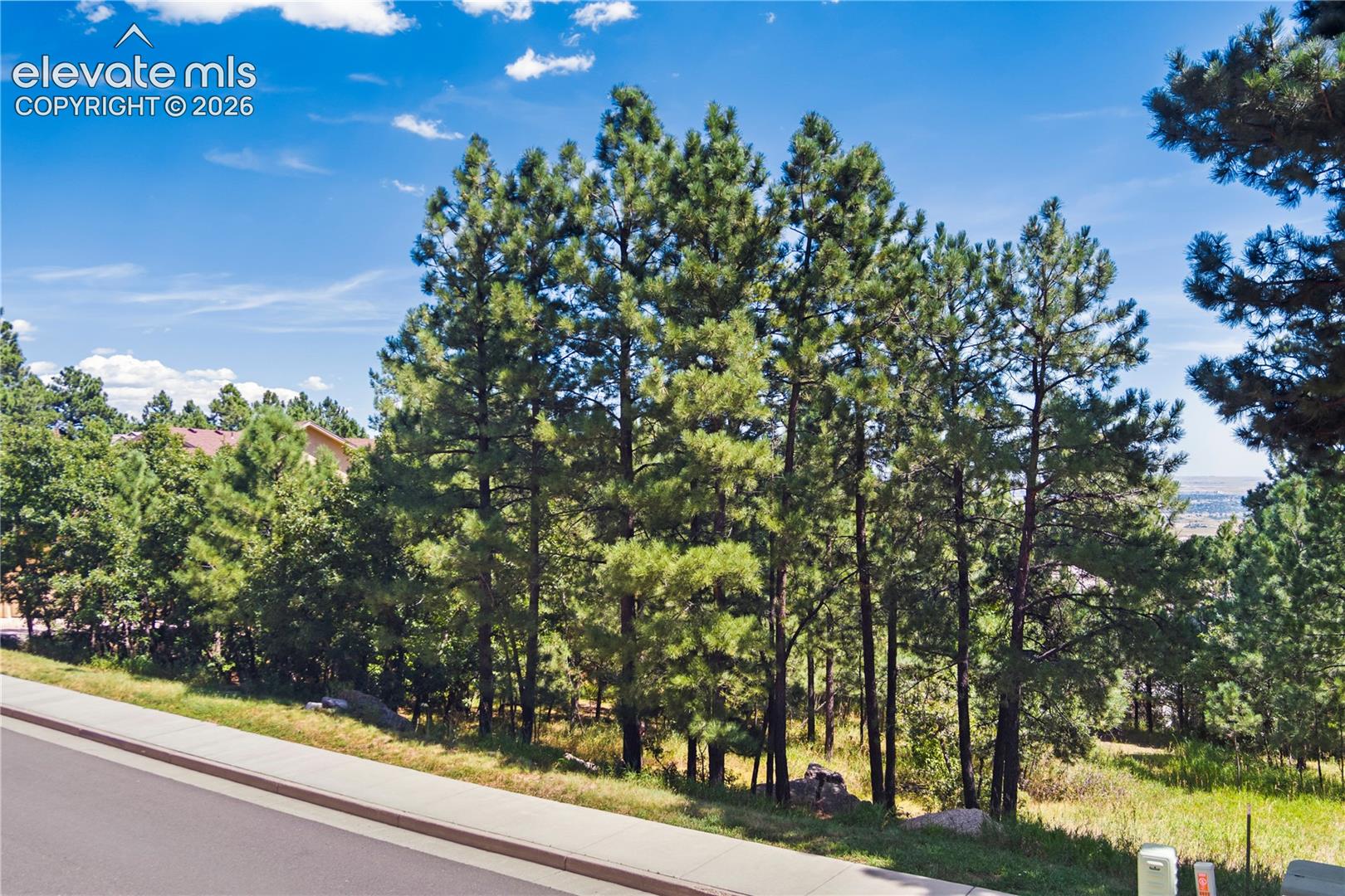 Photo 6 of 5625 Jarman Street, Colorado Springs