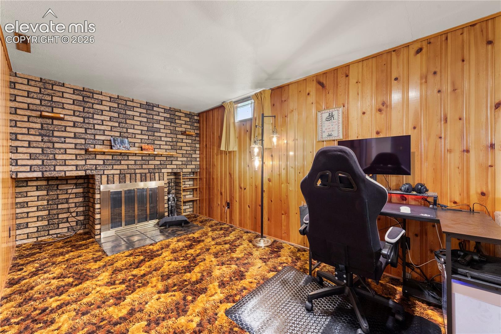 Basement Den