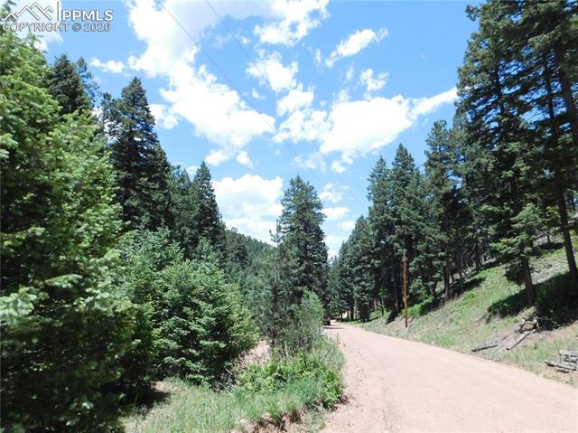 Photo 21 of 13175 Spruce Creek Circle, Larkspur