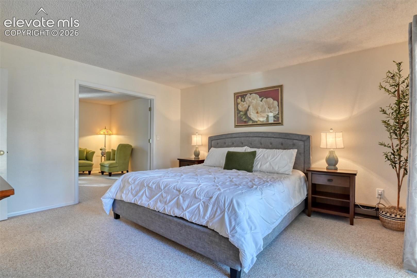 Photo 23 of 17715 Pond View Place, Colorado Springs