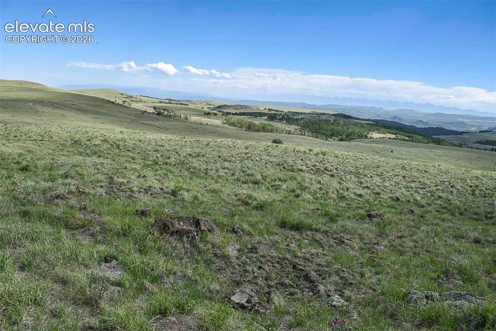 00 Bear Cat Rd, Guffey, CO 80820