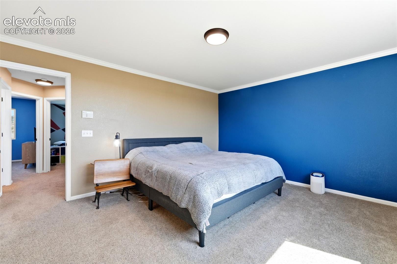 Photo 38 of 7105 Amber Ridge Drive, Colorado Springs