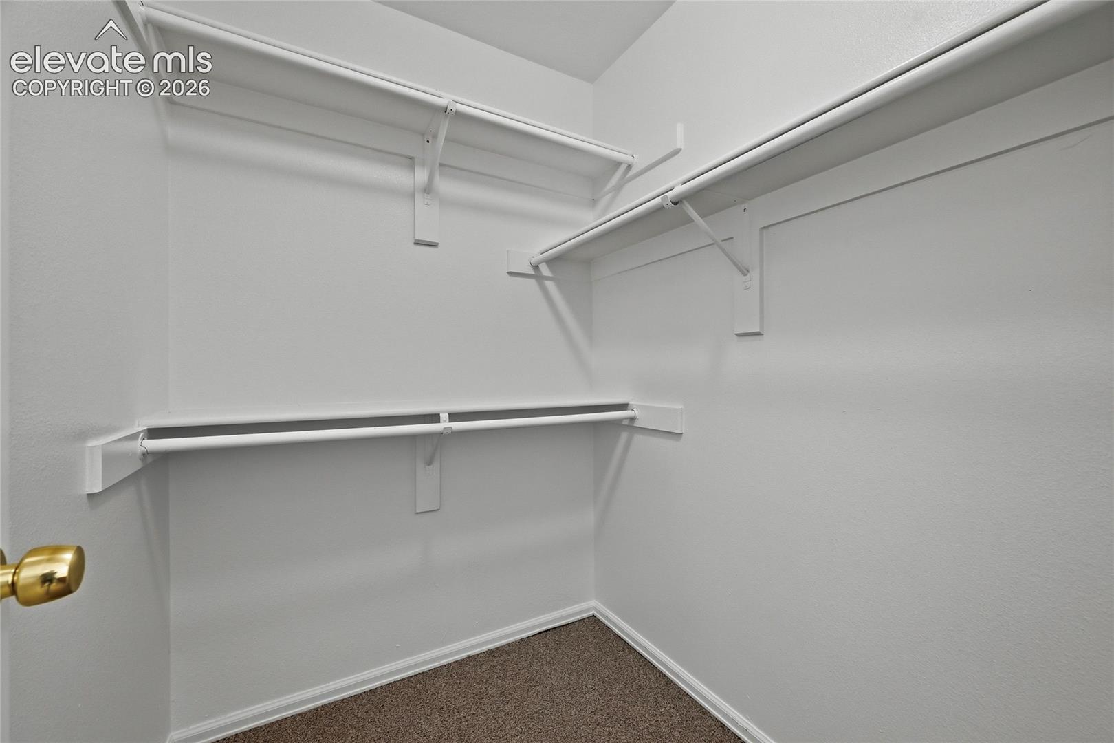 Walk-in closet featuring tiered white shelving and integrated hanging rods, finished with neutral carpeting