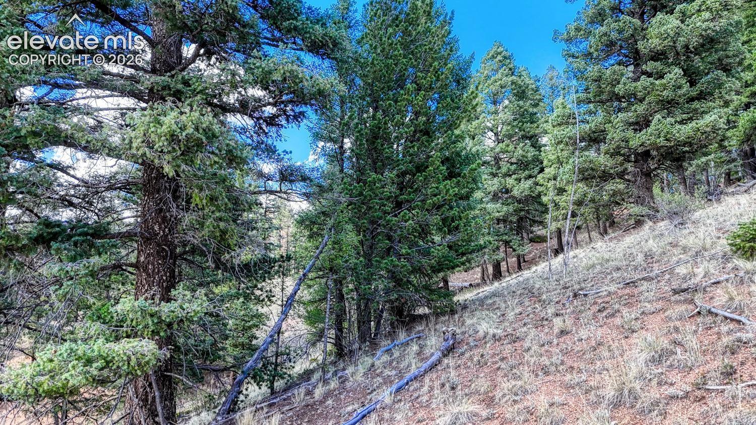 Photo 17 of 783 Bennett Drive, Cripple Creek