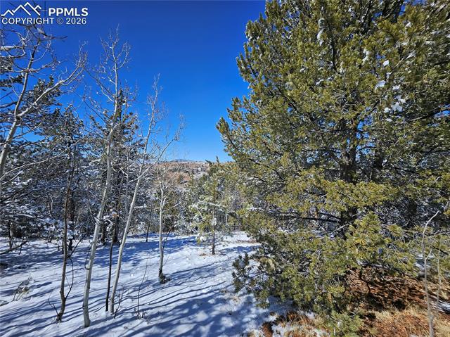 Photo 20 of 829 Princess Road, Cripple Creek