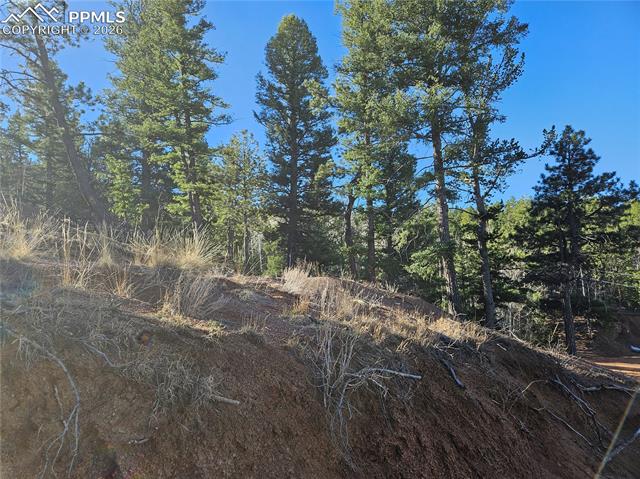 Photo 7 of 652 Derby Drive, Cripple Creek