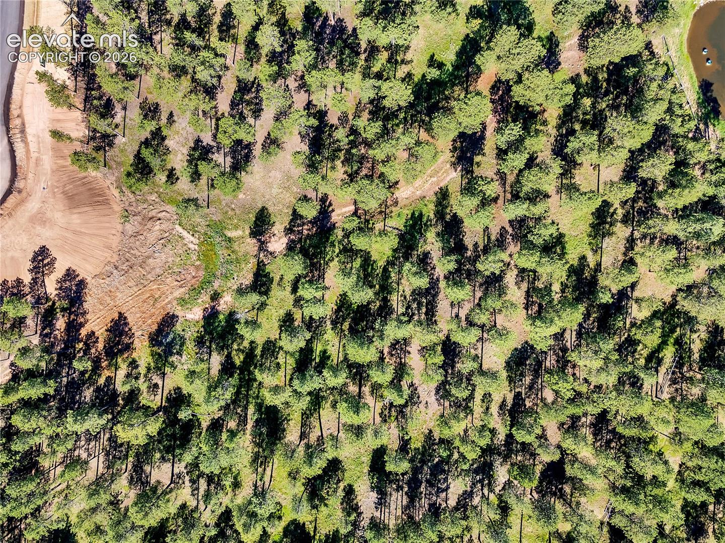 Aerial acreage featuring mature evergreen trees, earthen clearing, and natural water frontage