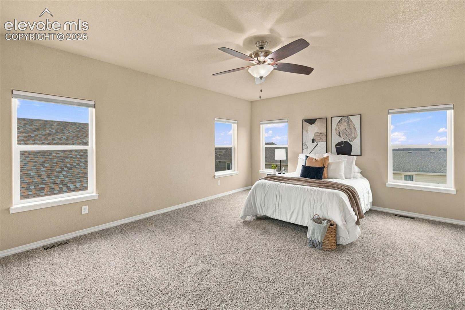 Photo 23 of 5954 Finglas Drive, Colorado Springs