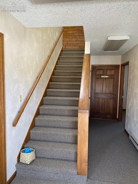250 N Center St, Woodland Park, CO 80863