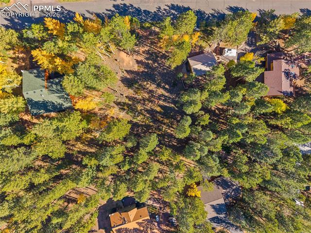Photo 8 of 1320 Forest Edge Road, Woodland Park
