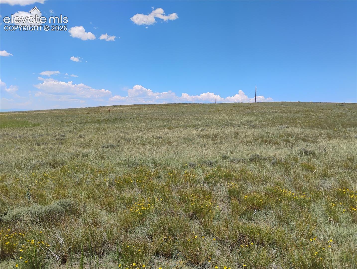 Photo 19 of 29455 Tallgrass View, Calhan