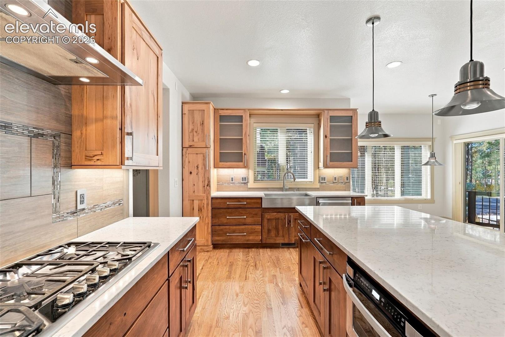 Gas range with hood