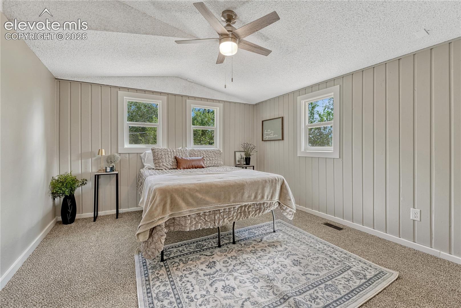 Bright primary bedroom featuring vertical shiplap accent walls, multiple windows with natural light, ceiling fan with integrated lighting, carpeted flooring, and a decorative area rug