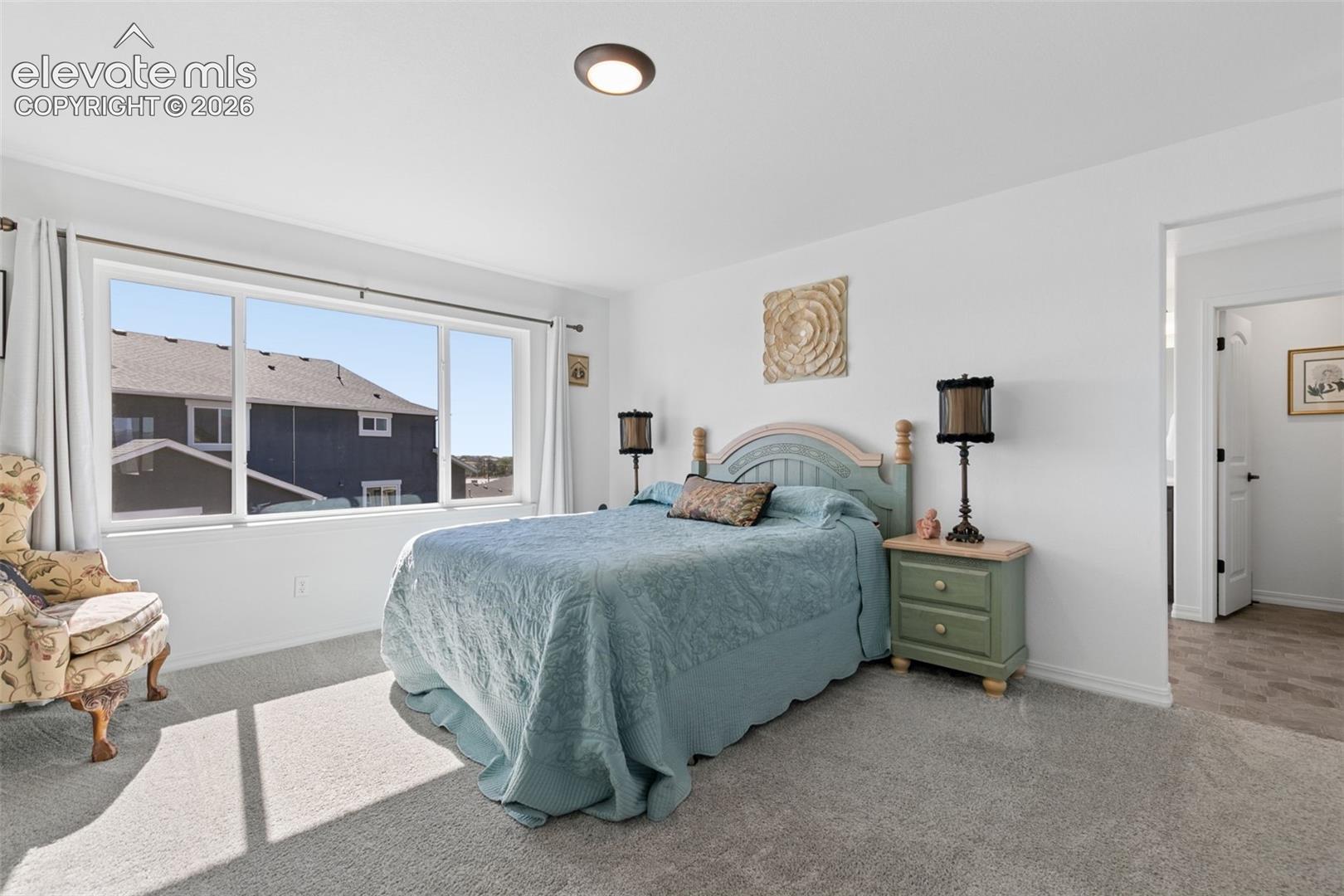 White walls, a large window, recessed ceiling lighting, and carpet flooring