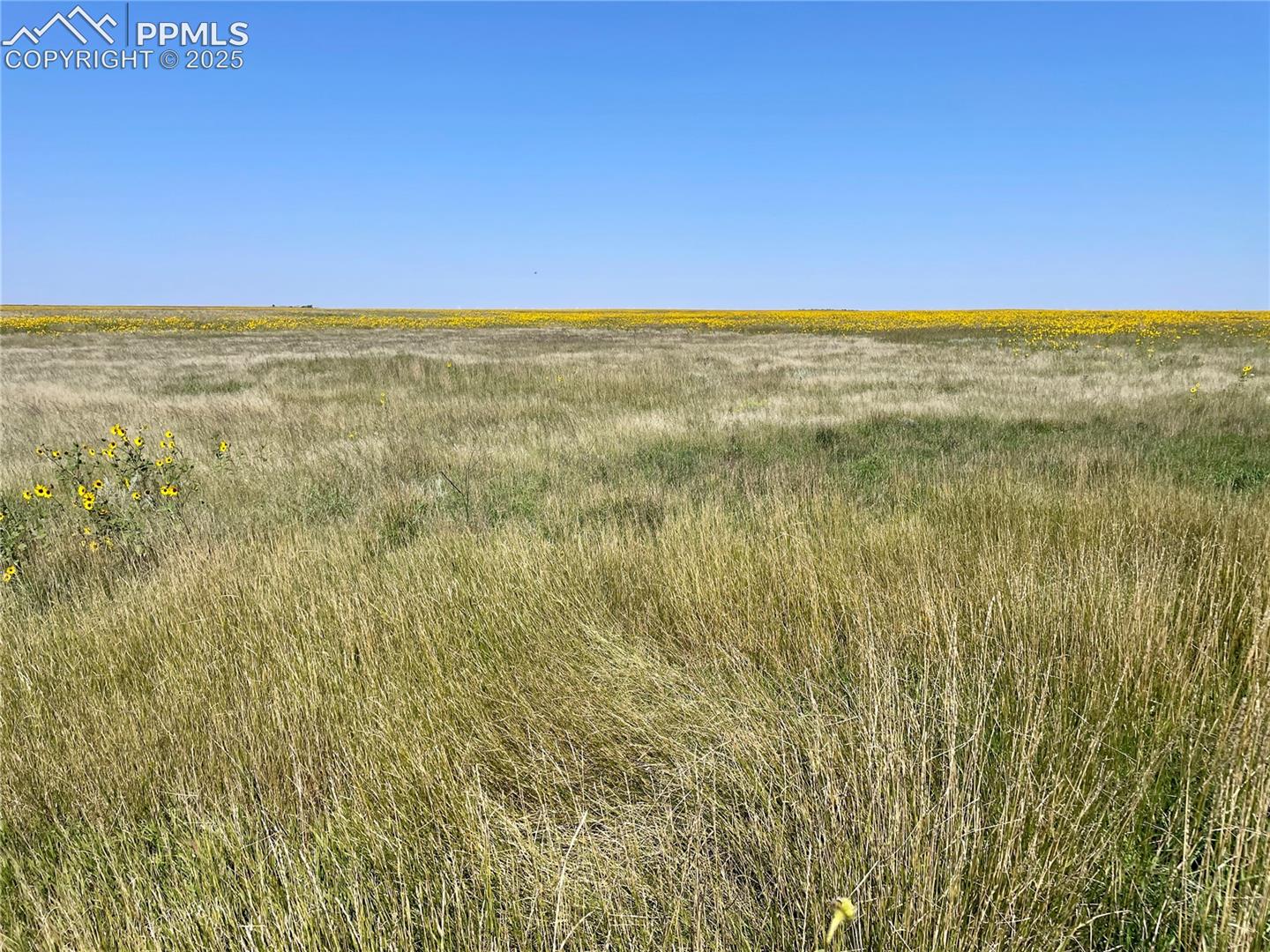 0 County Road 22, Matheson, CO 80830