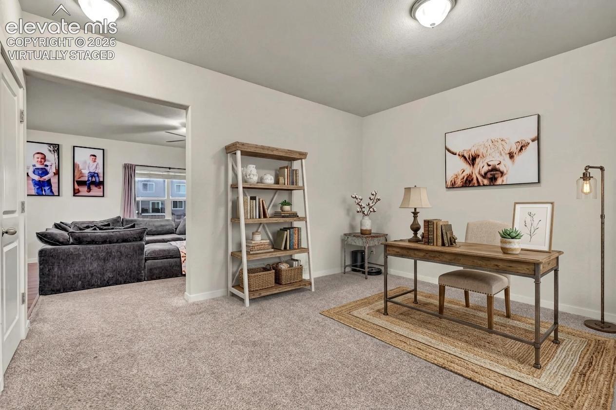 Virtually staged - Entry