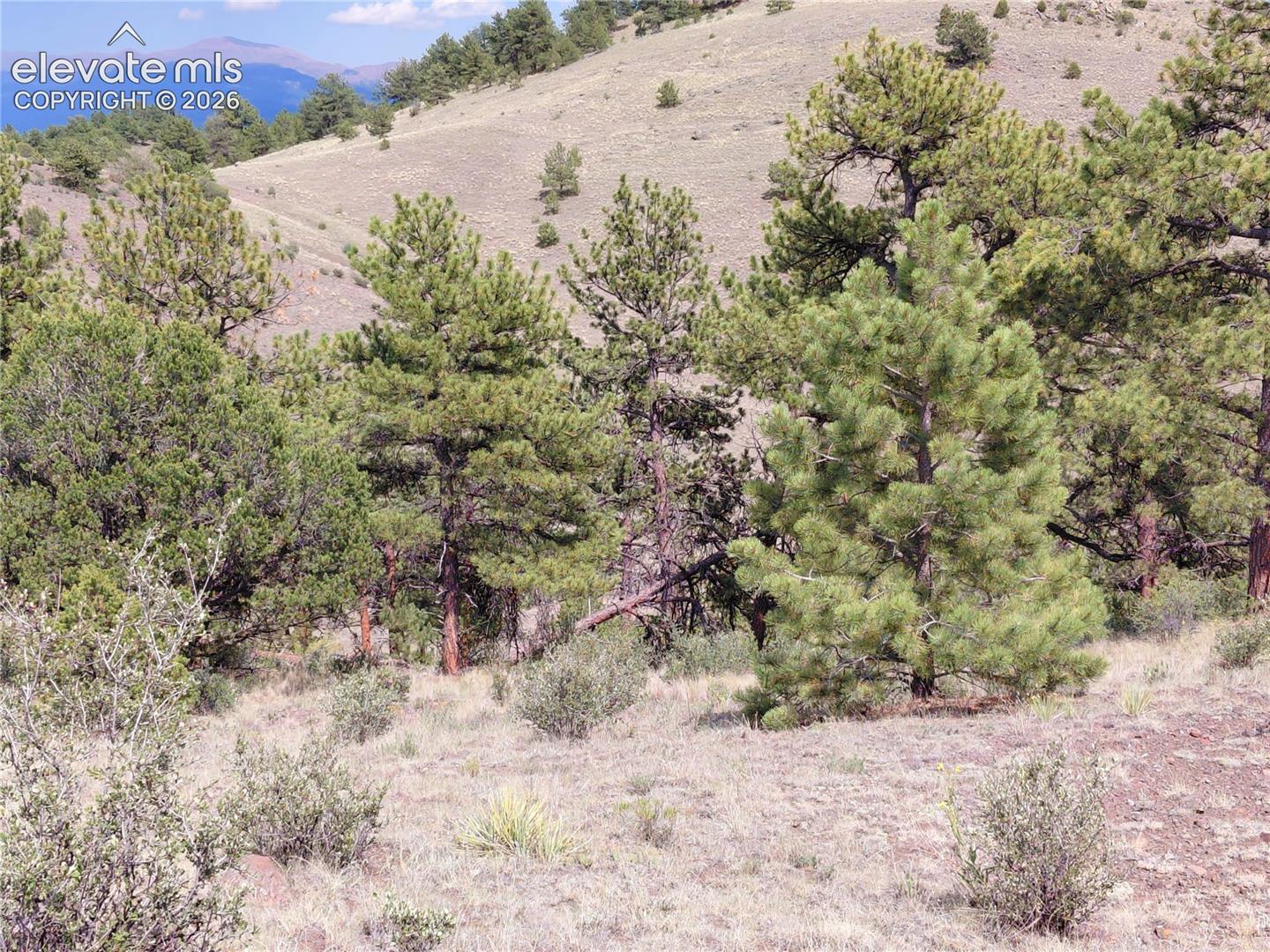 Photo 19 of Tract 70 Owls Nest Road, Guffey