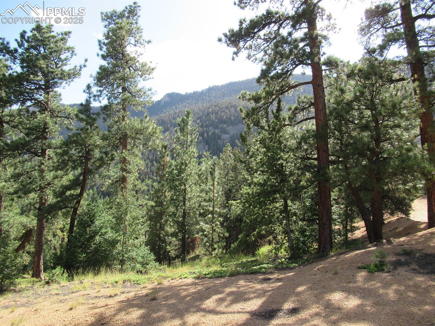 Beautiful, private lot w/ towering pines, mtn & city views, a lot of southern sunshine & flat building site with a gentle slope for possible walkout~Close to stocked fishing lake, clubhouse, pool, playground, tennis & basketball courts ~ hiking trails throughout the whole community~Crystal Park is a safe gated community with over 2000 acres of land & only 350 home sites~All lots in Crystal Park can go up to 0.7 acre with no charge just need survey~Full time private snow removal & volunteer fire dept~Trash & mail are all at the gate~There is a house across the street with utilities~This property requires well & septic.