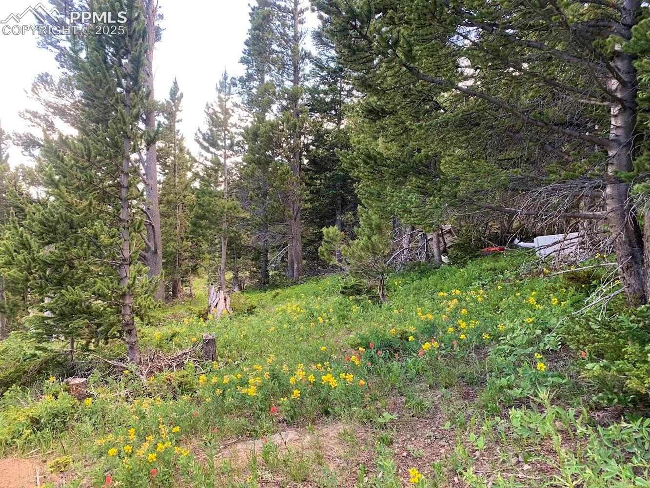 Photo 11 of Hilltop Road, Idaho Springs