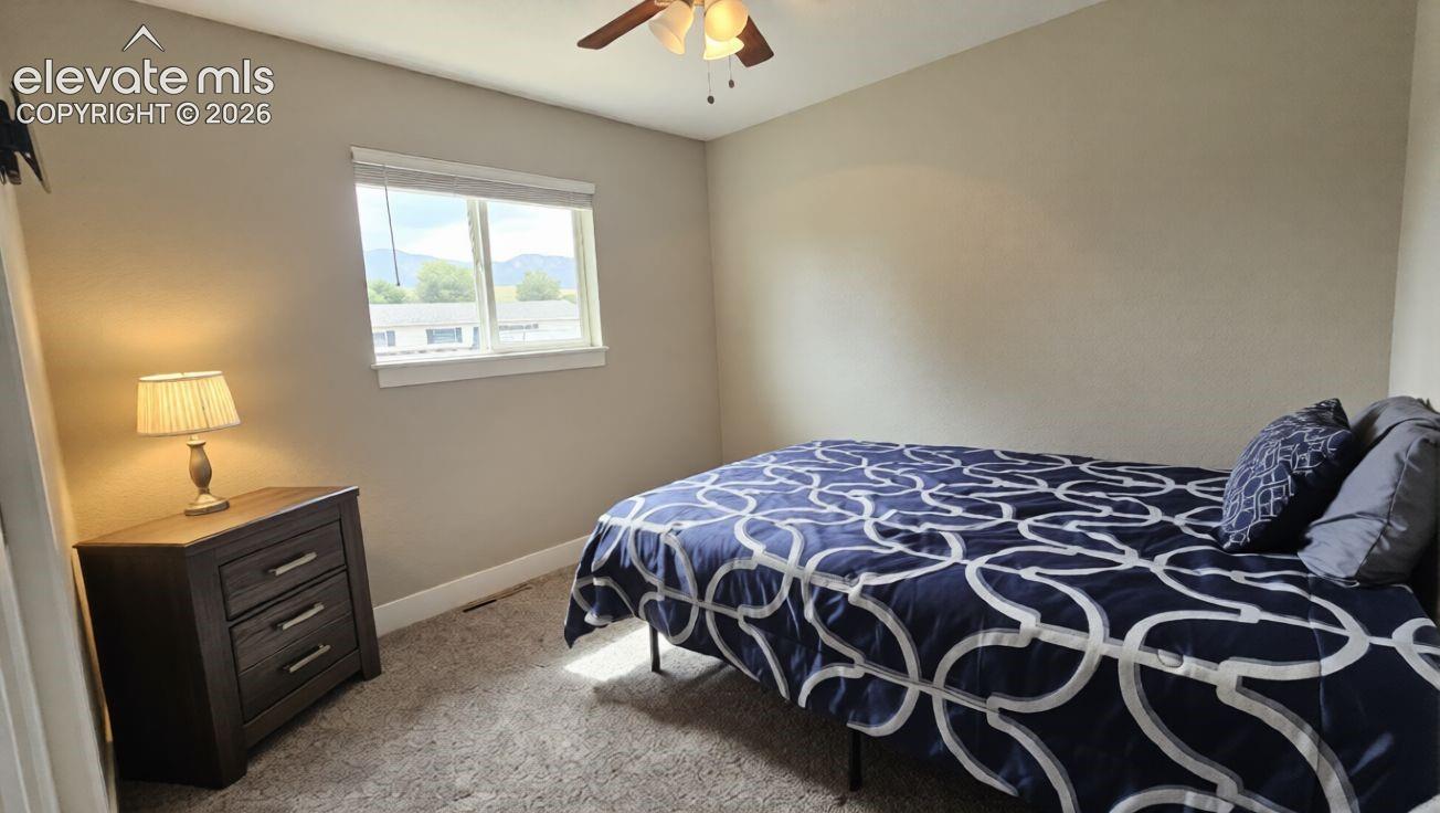 Carpeted flooring and a ceiling fan