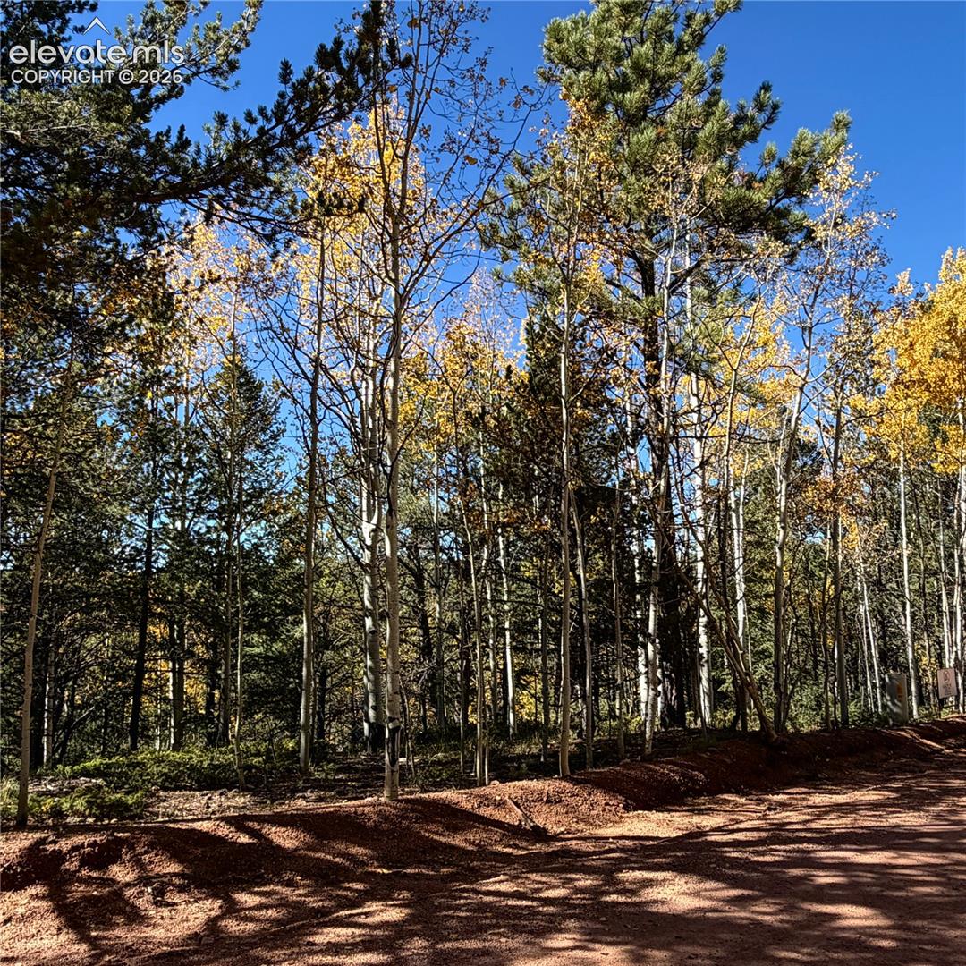 Photo 17 of 773 Timber Ridge Road, Divide