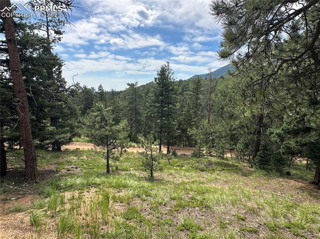 Looking over the build site with Colorado Springs in the distance.