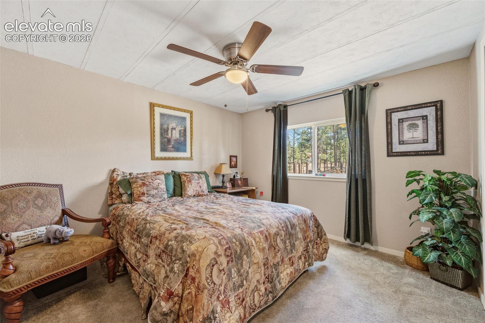 Photo 19 of 1299 Pikes Peak Drive, Florissant