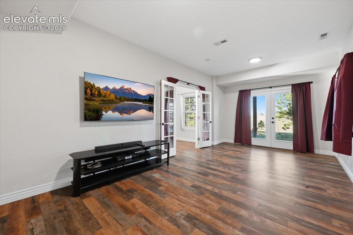 TV/flex room