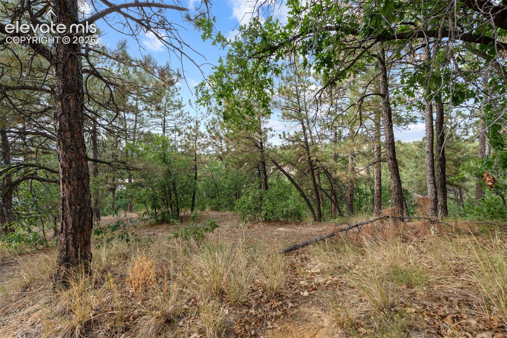Photo 6 of 5831 Spurwood Court, Colorado Springs