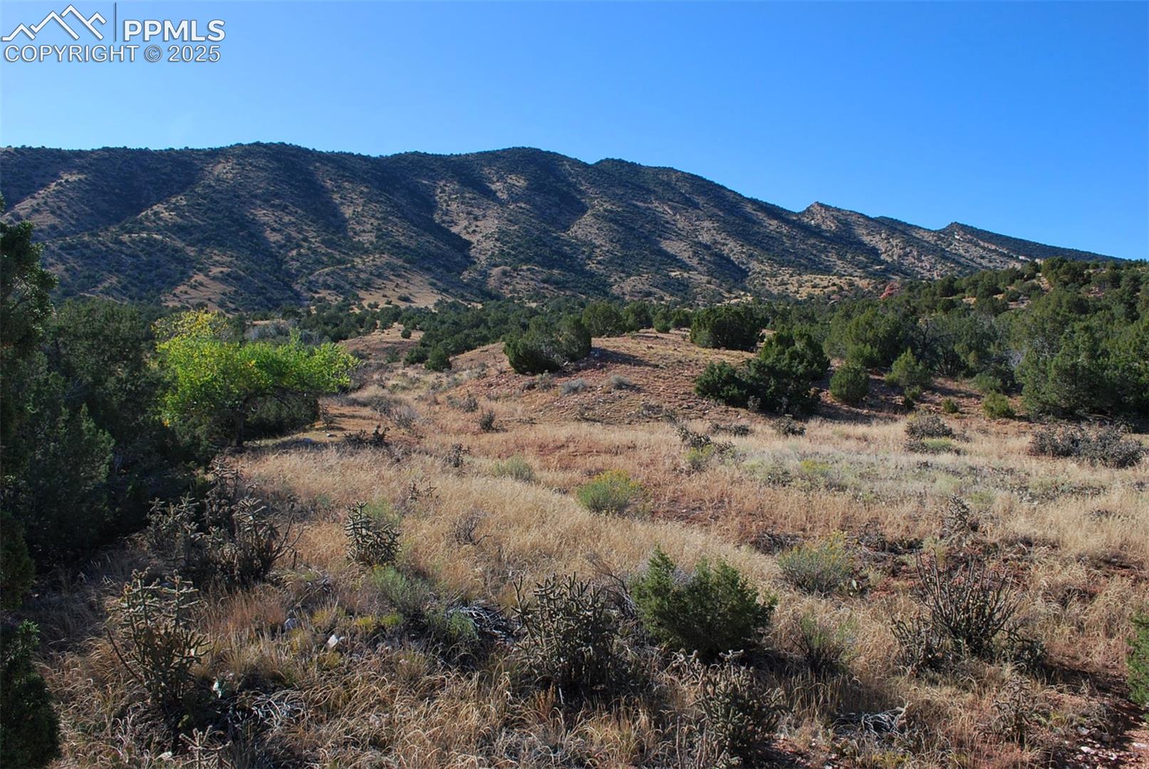Photo 8 of 601 County Road 69, Canon City