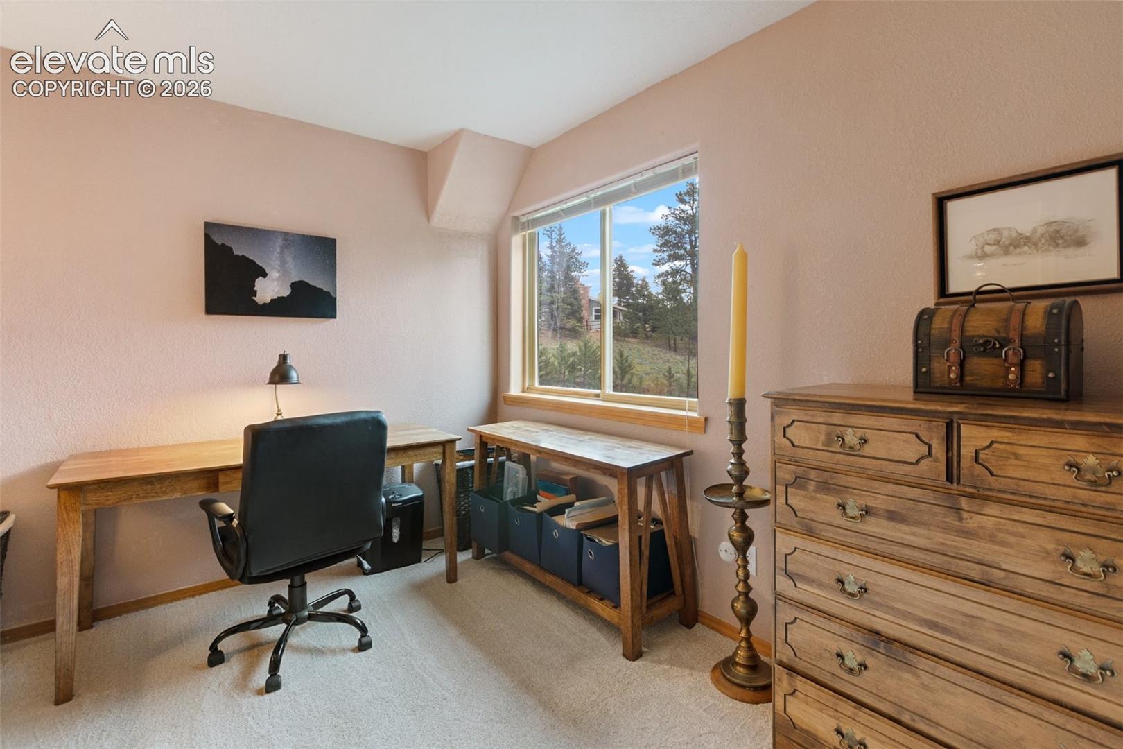 Lower Level Bedroom