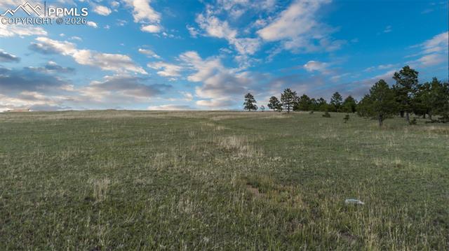 Photo 12 of 11516 Bison Meadows Court, Colorado Springs