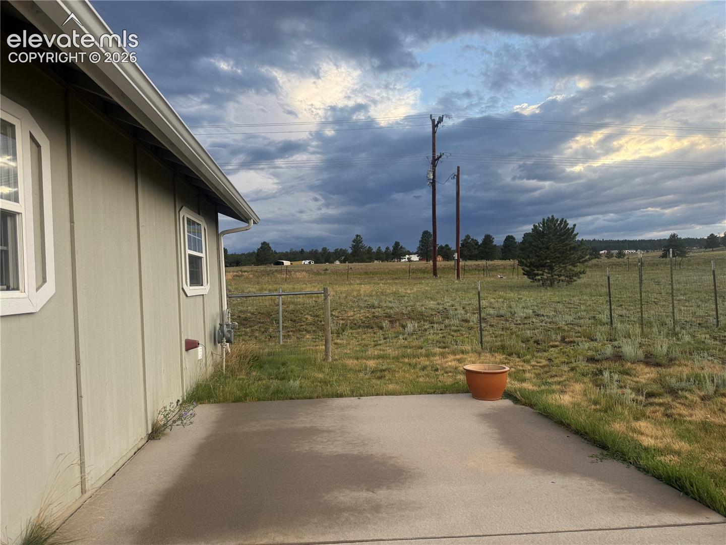 back yard