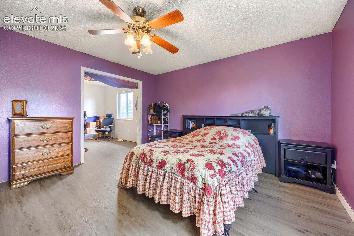 Wood-finish flooring throughout, with a ceiling fan light fixture