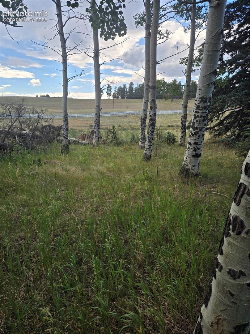 199 Joshua Rd, Divide, CO 80814
