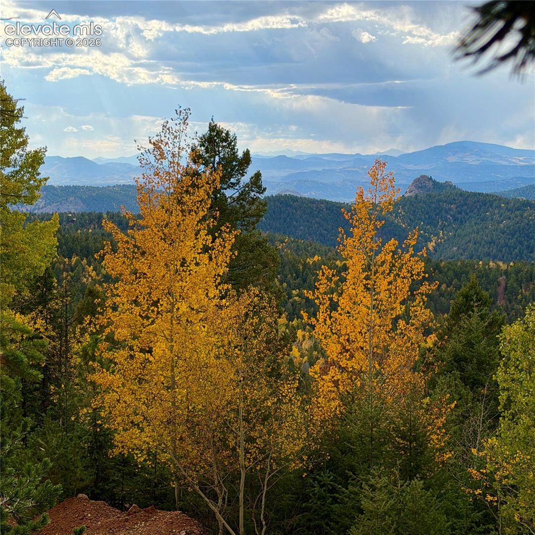 Mountain landscape featuring verdant forests and distant peaks