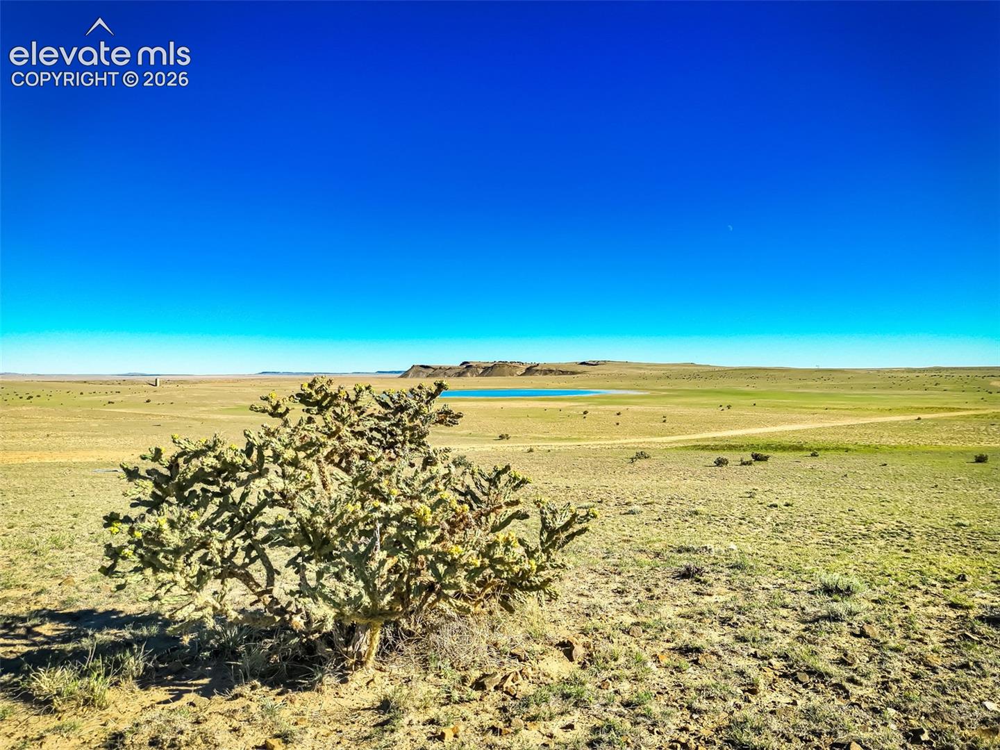 Expansive desert landscape featuring native flora, rugged terrain, and a distant water feature under a clear horizon